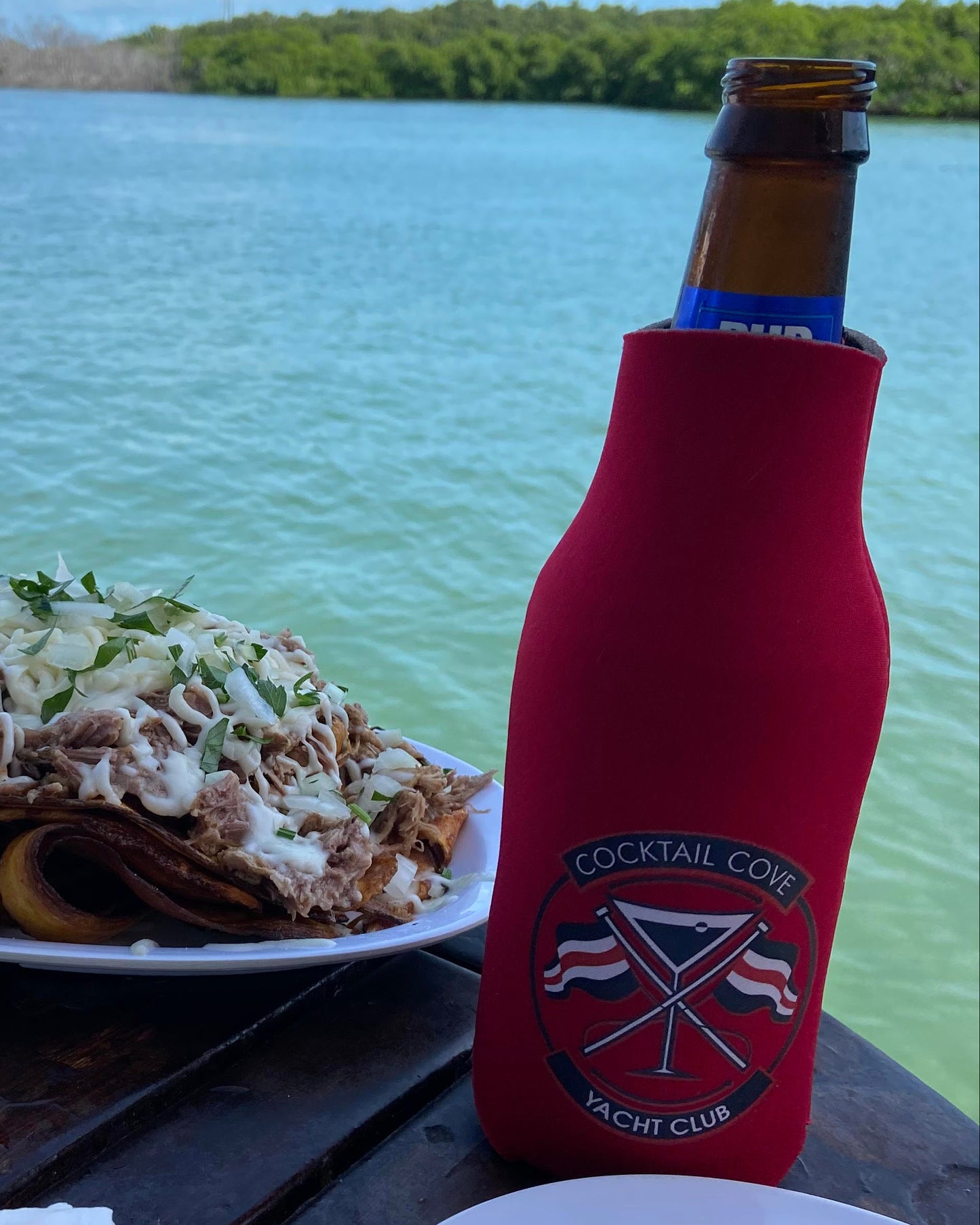 Classic Logo Bottle Koozie